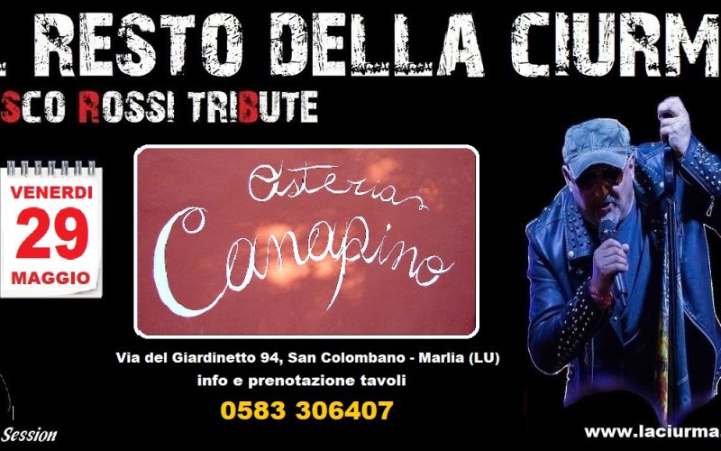 CANAPINO 29 5 26
