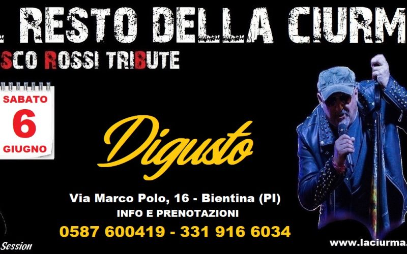 digusto 6 6 fb