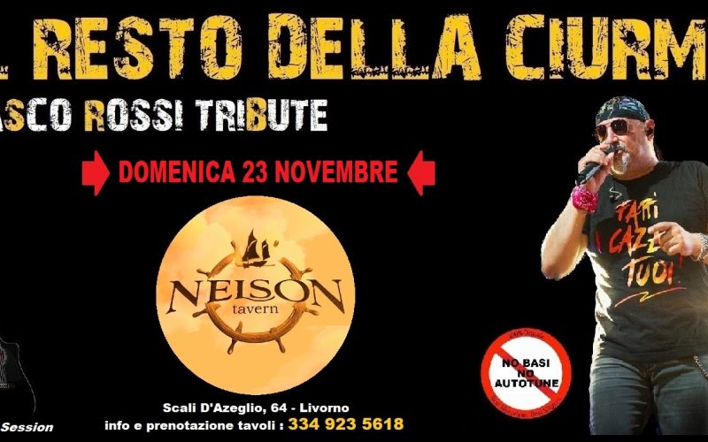 nelson 23 11 25
